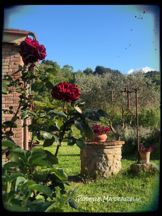 Podere Mazzarelle Castel del Piano  Zewnętrze zdjęcie